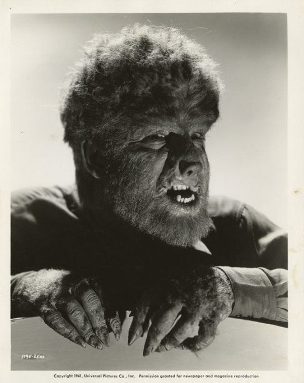 wolfman44
