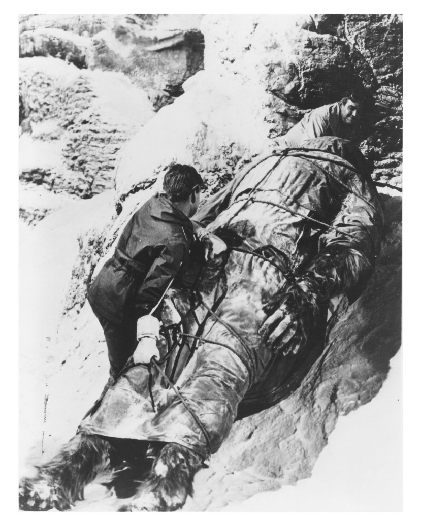 abominable_snowman_of_himalayas_u_03