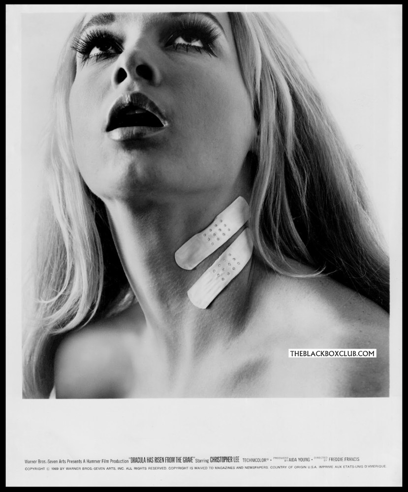 dracula has risen from the grave2