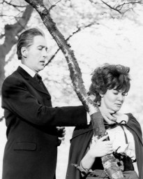 dracula has risen from the grave42