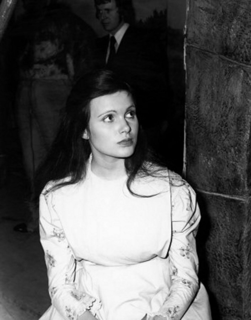 Frankenstein and the Monster from Hell13