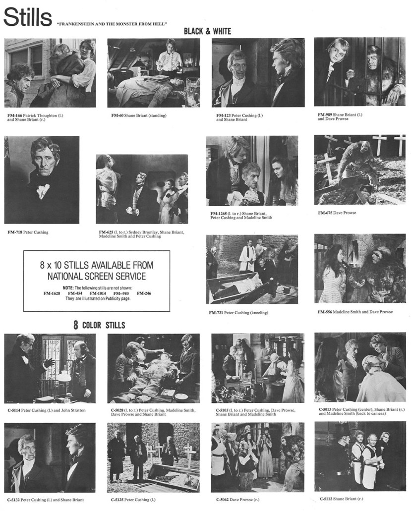 Frankenstein and the Monster from Hell17