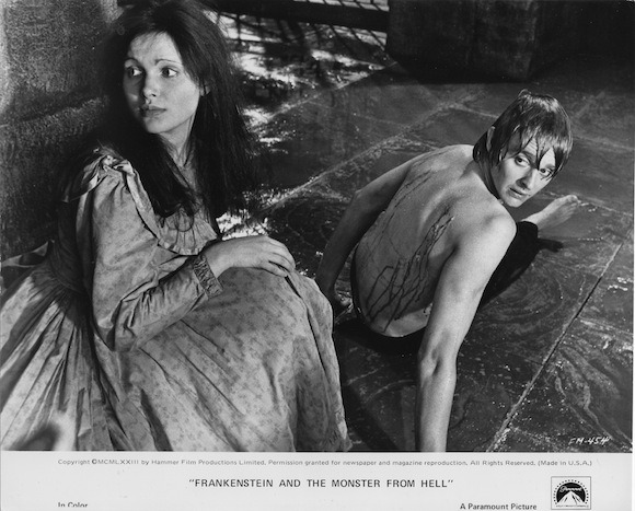 Frankenstein and the Monster from Hell29