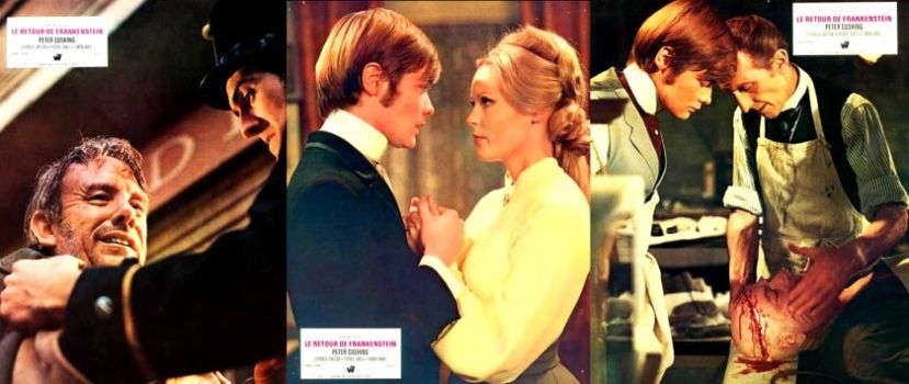 Frankenstein Must Be Destroyed14