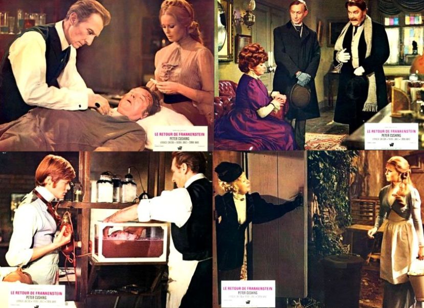 Frankenstein Must Be Destroyed67