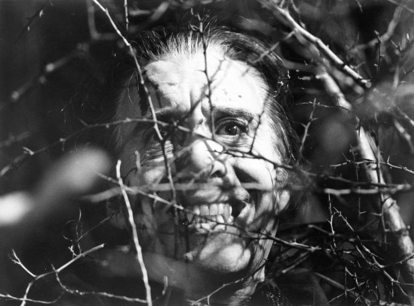 satanic_rites_of_dracula_08