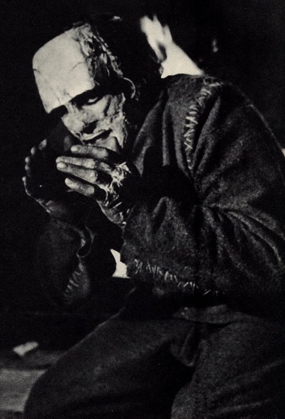 The Evil of Frankenstein33