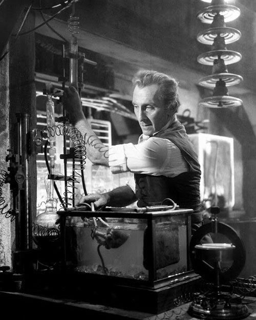 The Evil of Frankenstein36