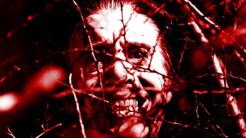 The Satanic Rites of Dracula17