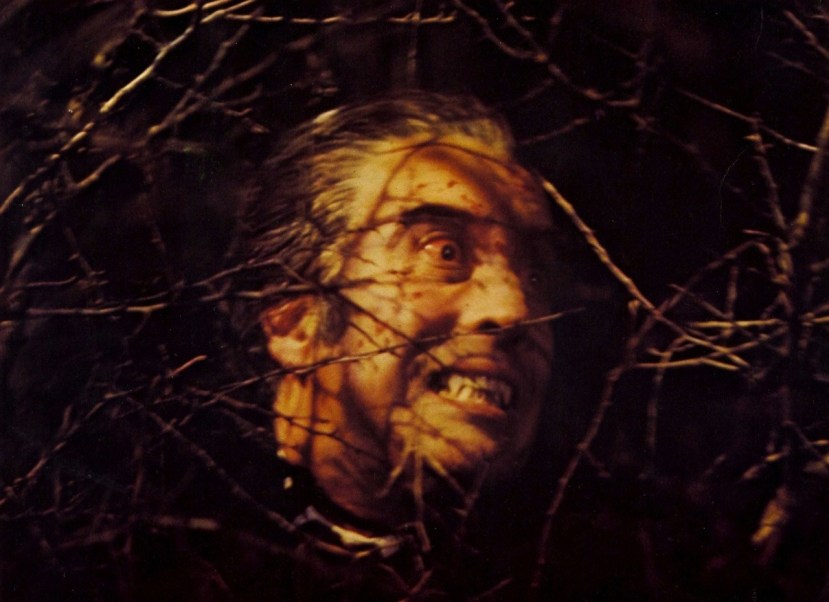 The Satanic Rites of Dracula19