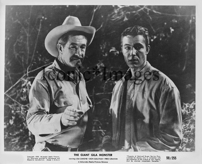 giant gila monster15