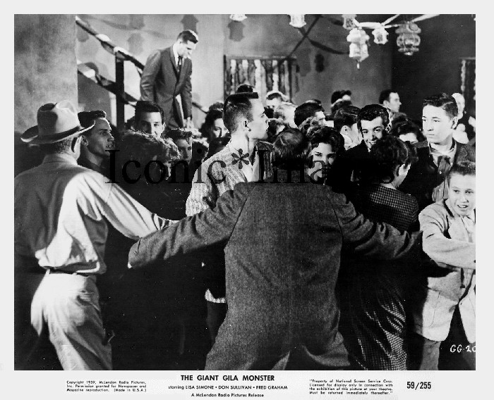 giant gila monster18