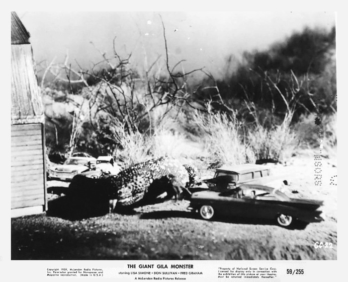 giant gila monster19