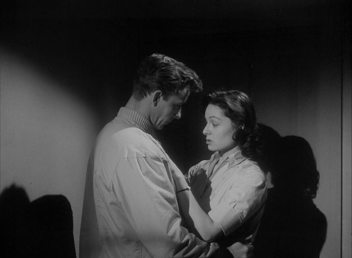 giant gila monster24