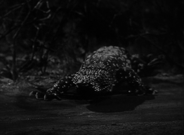 giant gila monster25