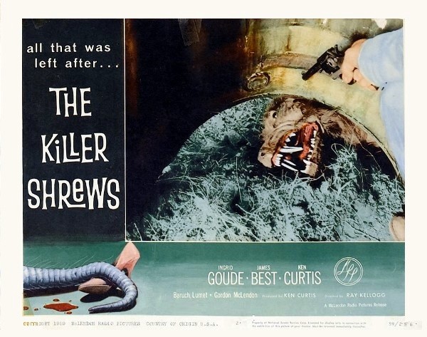 killer shrews10