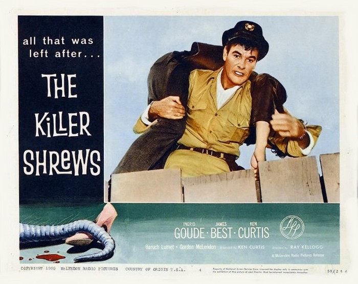 killer shrews12