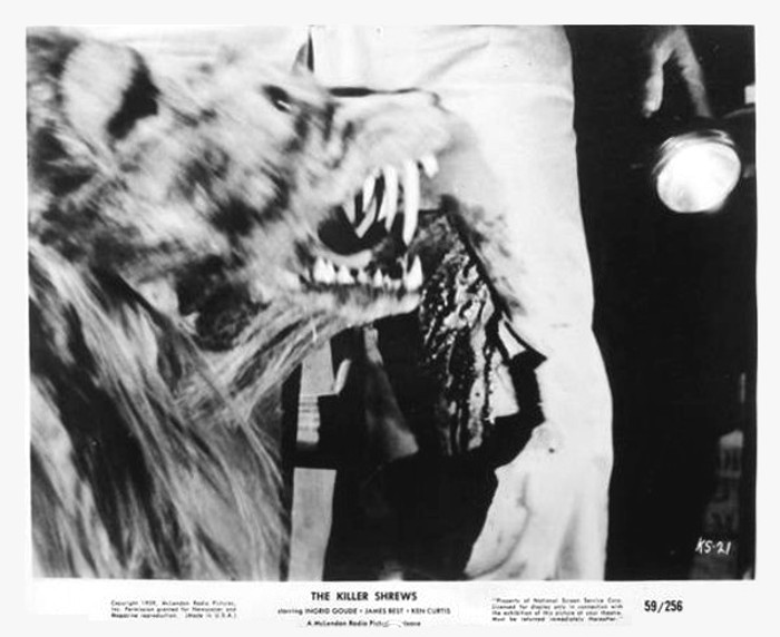 killer shrews25