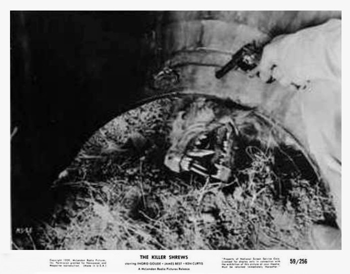 killer shrews32