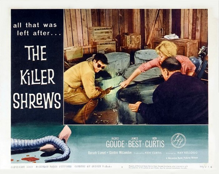 killer shrews9