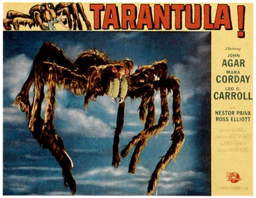 tarantula1
