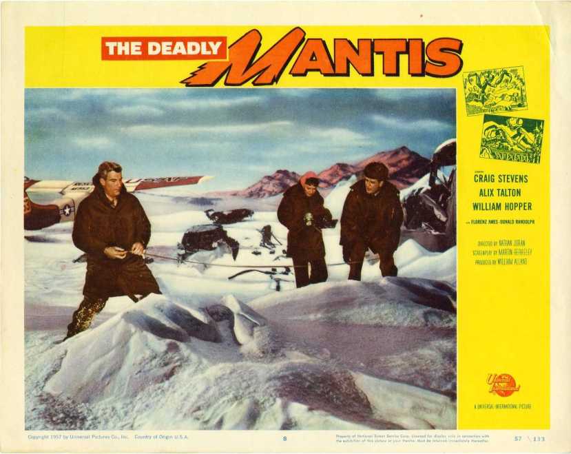 the deadly mantis14