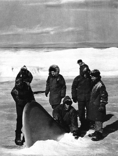 thing_from_another_world18