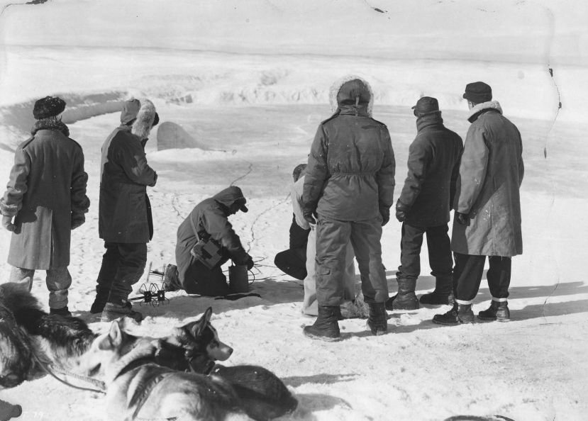 thing_from_another_world_79