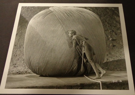 The Incredible Shrinking Man100