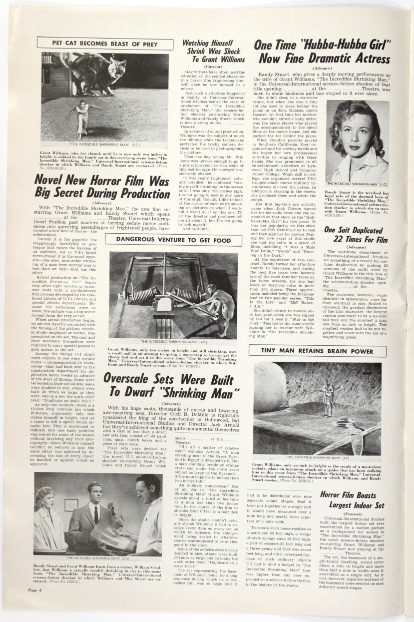 The Incredible Shrinking Man19