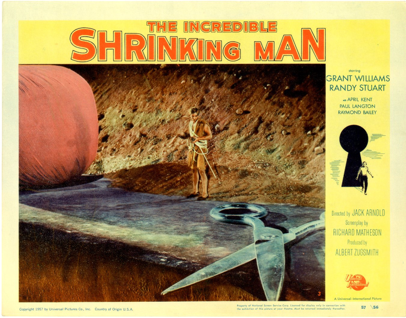 The Incredible Shrinking Man3