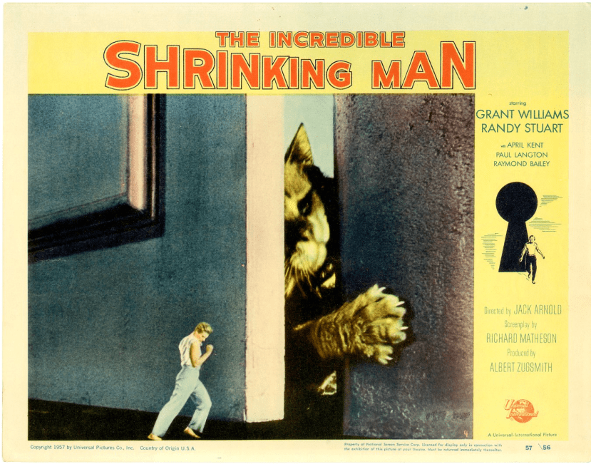 The Incredible Shrinking Man4