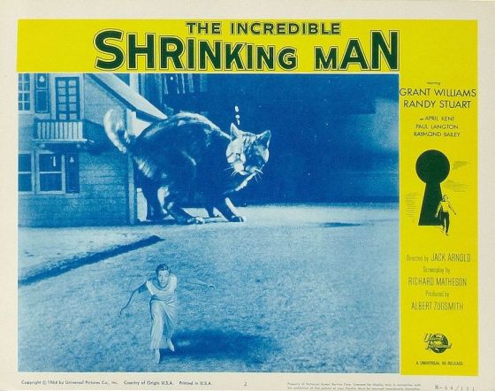 The Incredible Shrinking Man41