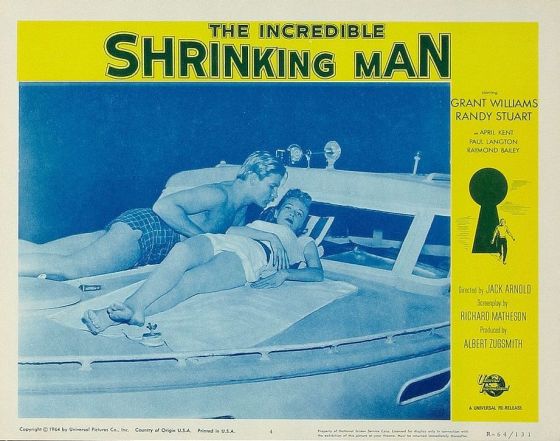 The Incredible Shrinking Man43