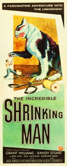 The Incredible Shrinking Man48