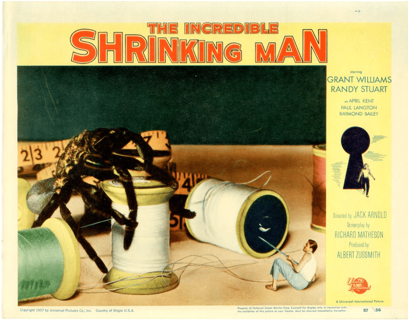 The Incredible Shrinking Man6