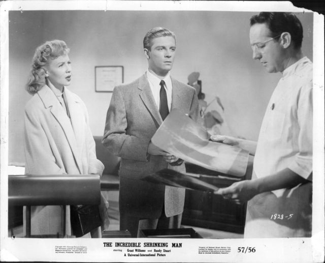The Incredible Shrinking Man66
