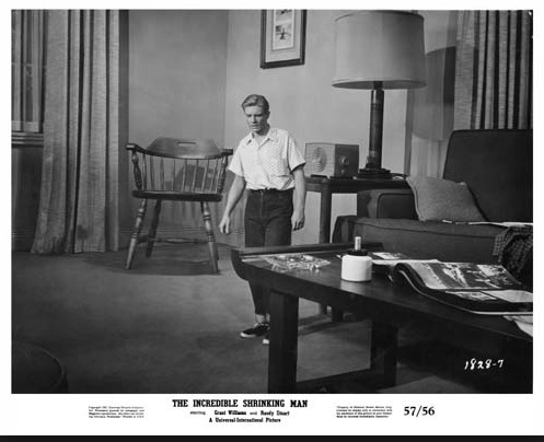 The Incredible Shrinking Man68