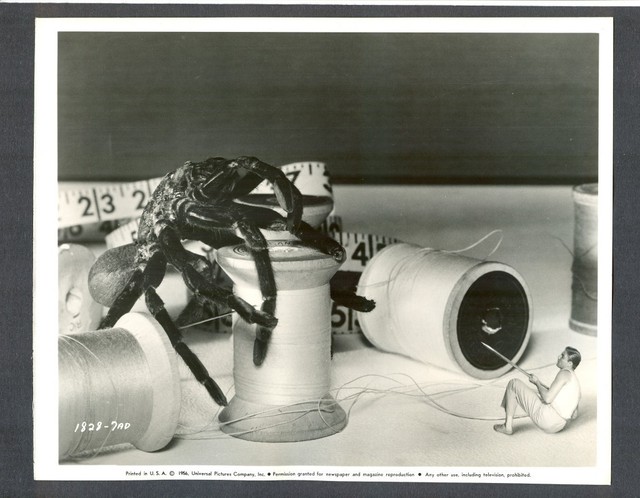 The Incredible Shrinking Man69