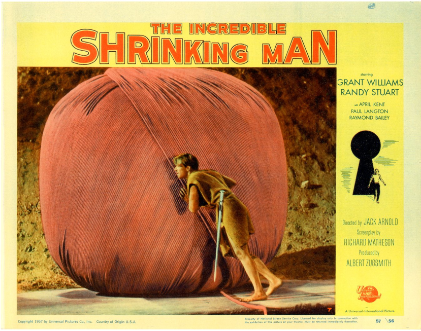 The Incredible Shrinking Man7