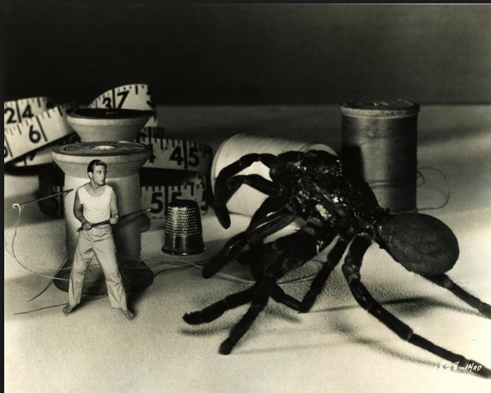 The Incredible Shrinking Man77