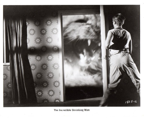 The Incredible Shrinking Man80