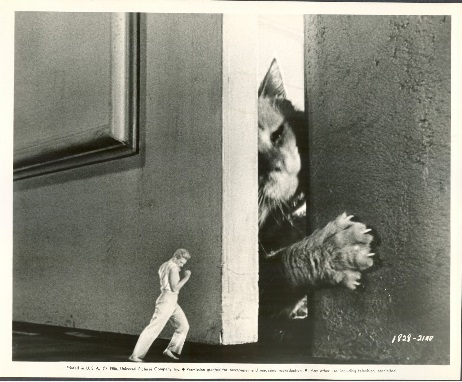 The Incredible Shrinking Man89