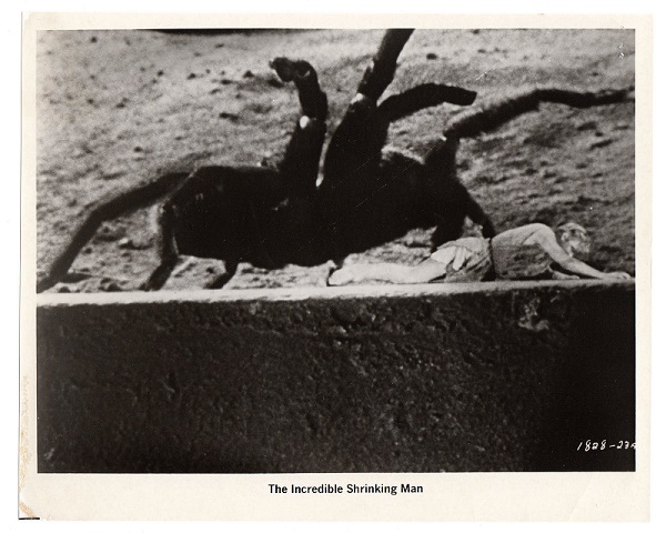 The Incredible Shrinking Man93