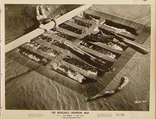 The Incredible Shrinking Man94