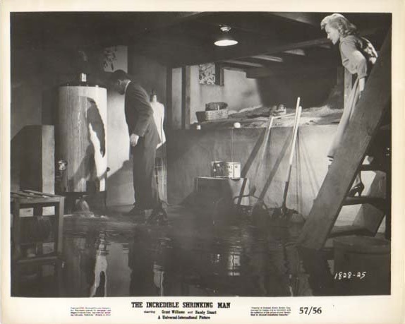 The Incredible Shrinking Man95