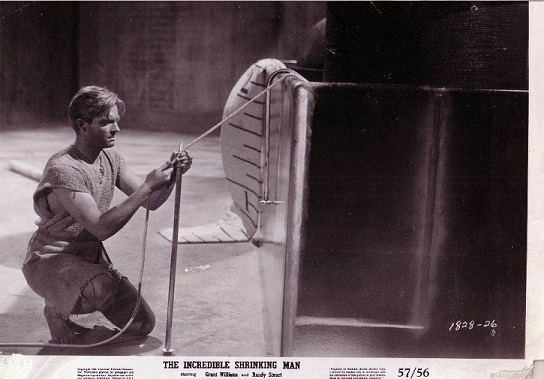 The Incredible Shrinking Man96
