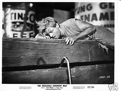 The Incredible Shrinking Man98