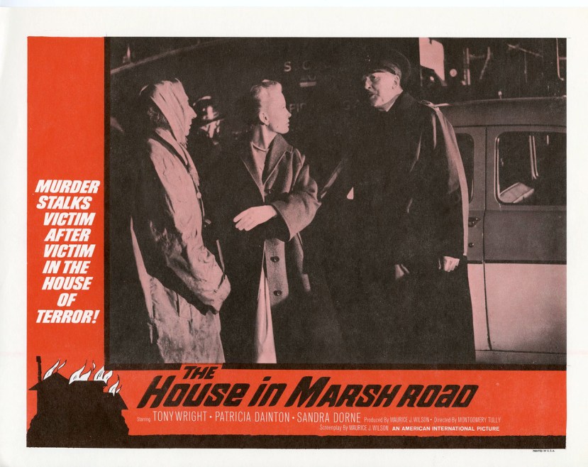 the-house-in-marsh-road6