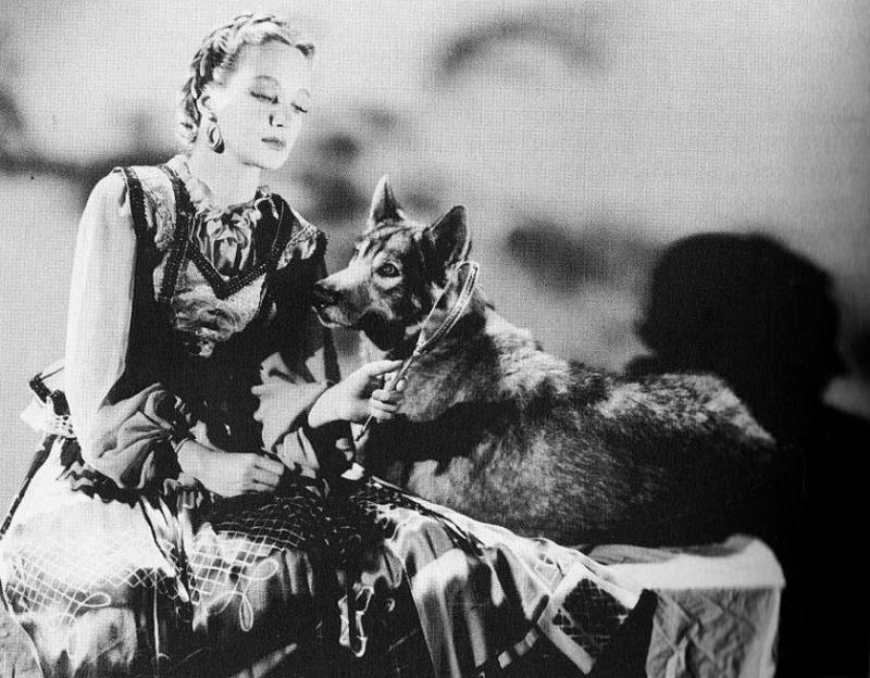 cry of the werewolf24